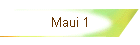 Maui 1