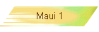 Maui 1